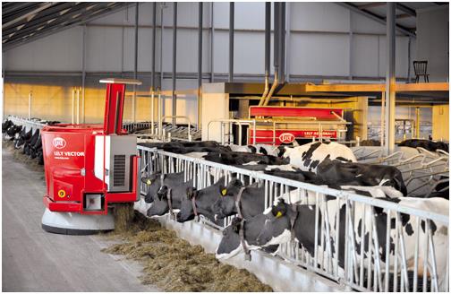 Голландцы предлагают внедрять роботов на молочных фермах