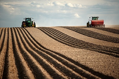 В Минсельхозе обсудили меры стабилизации цен на базовые продукты и ход проведения весенних полевых работ