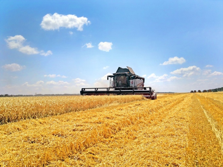 Производство российской сельхозтехники за 1 квартал 2020 года выросло на 30%