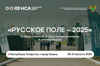 В Казани пройдет Всероссийский форум «Русское поле – 2025» 
