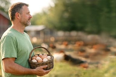 Более 60 участников и ветеранов СВО получили грант «Агромотиватор» в 2025 году