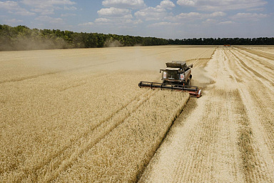 Господдержка АПК в 2025 году составила 665 млрд рублей