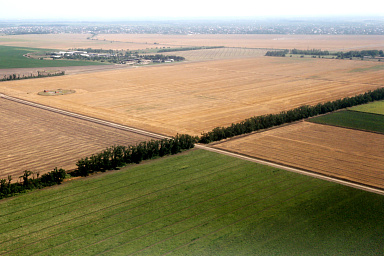 В 2025 году Россия укрепила продовольственную безопасность по ключевым позициям